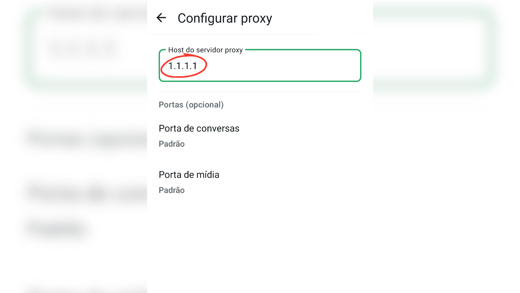 Digitando o endereço IP fictício no campo de Proxy
